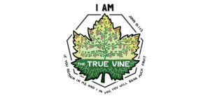 Jesus the true vine