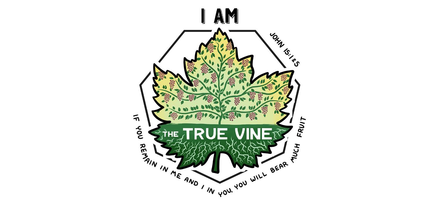 Jesus the true vine
